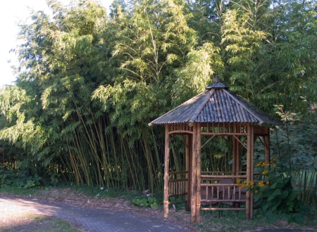 Bambushütte im Schatten eines Bambushains